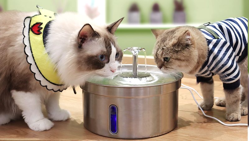 steel water fountain for pet