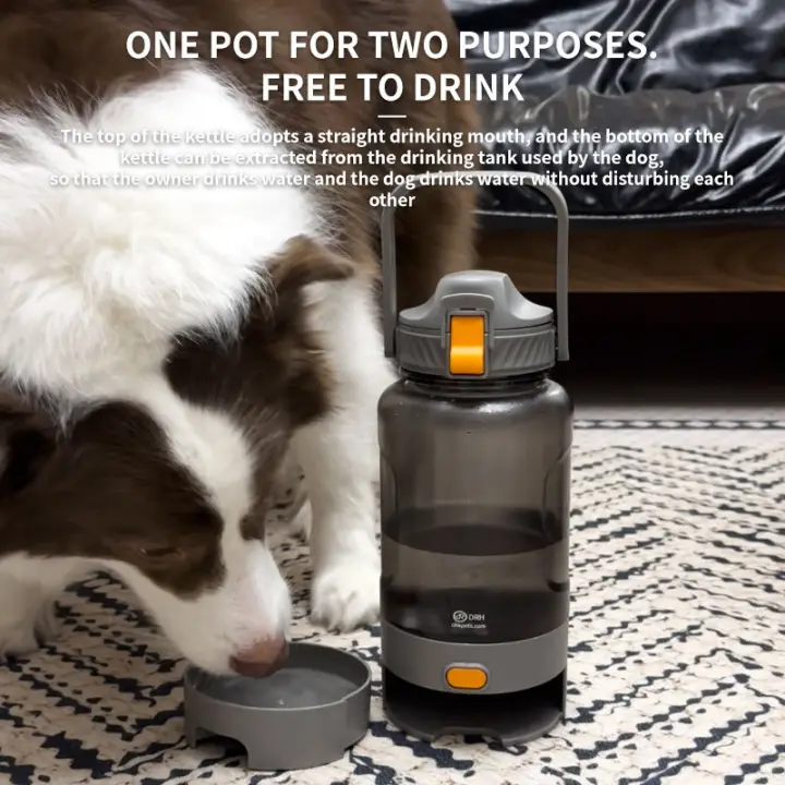 2-in-1 1.5L Water Bottle-Pawty Global