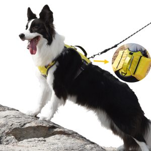 Dog Harness-Pawty Global