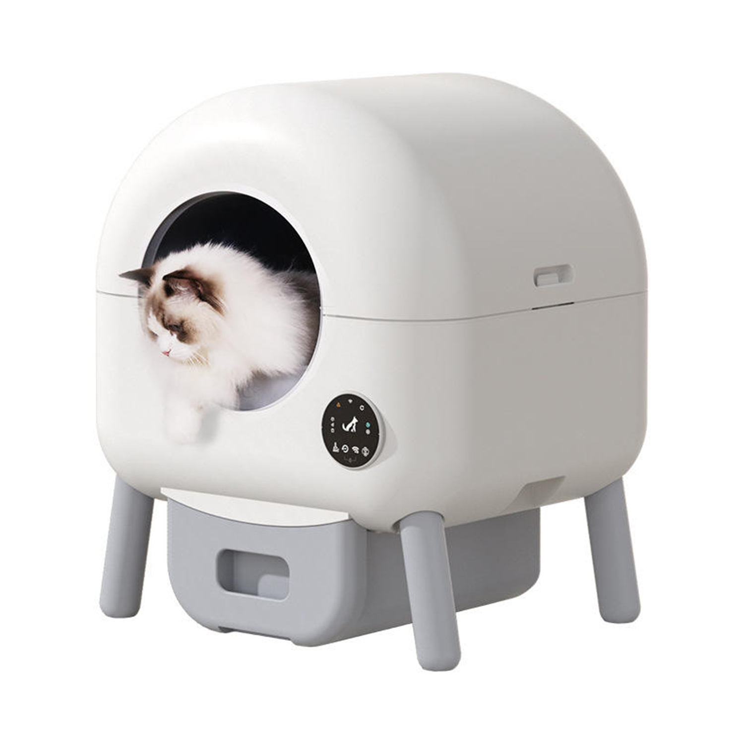 Automatic Cat Litter Box-Pawty Global