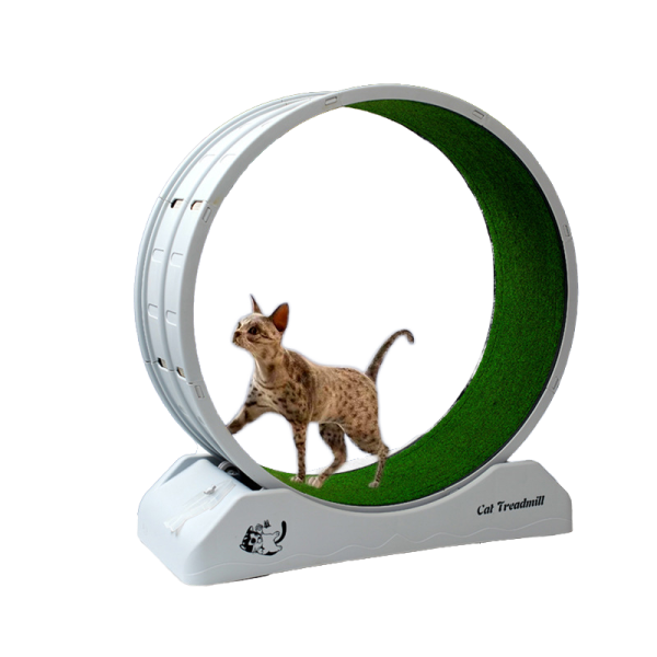 Smart Cat Treadmill Wheel for Indoor Exercise | Silent Running Wheel for Cats | Pawty Global