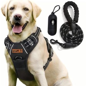 Dog Harness & Leash set-Pawty Global