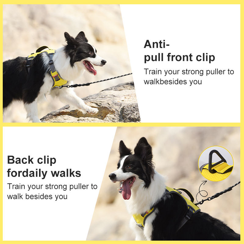 Dog Harness-Pawty Global