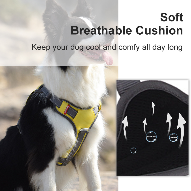 Dog Harness-Pawty Global