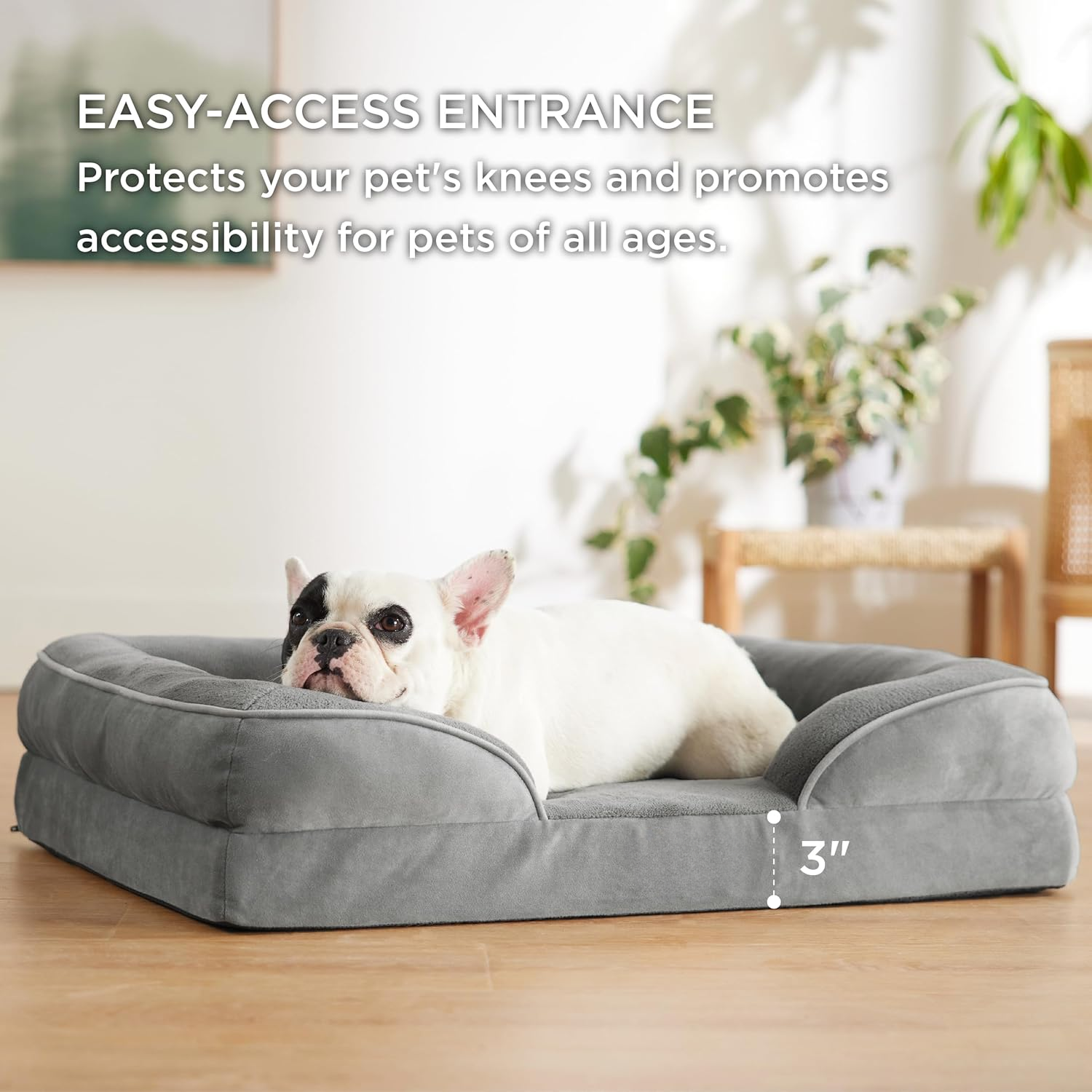 Orthopedic Dog Bed-Pawty Global