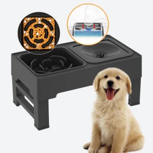 Adjustable Raised Dog Bowl Main Picture Pawty Global