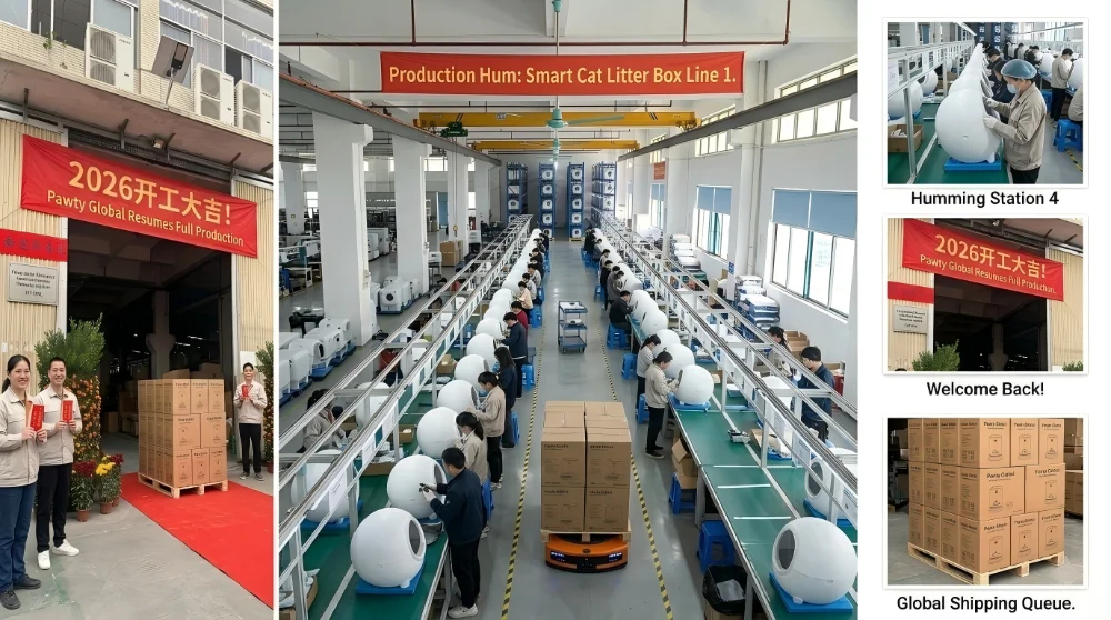 Get back to work Pawty Global