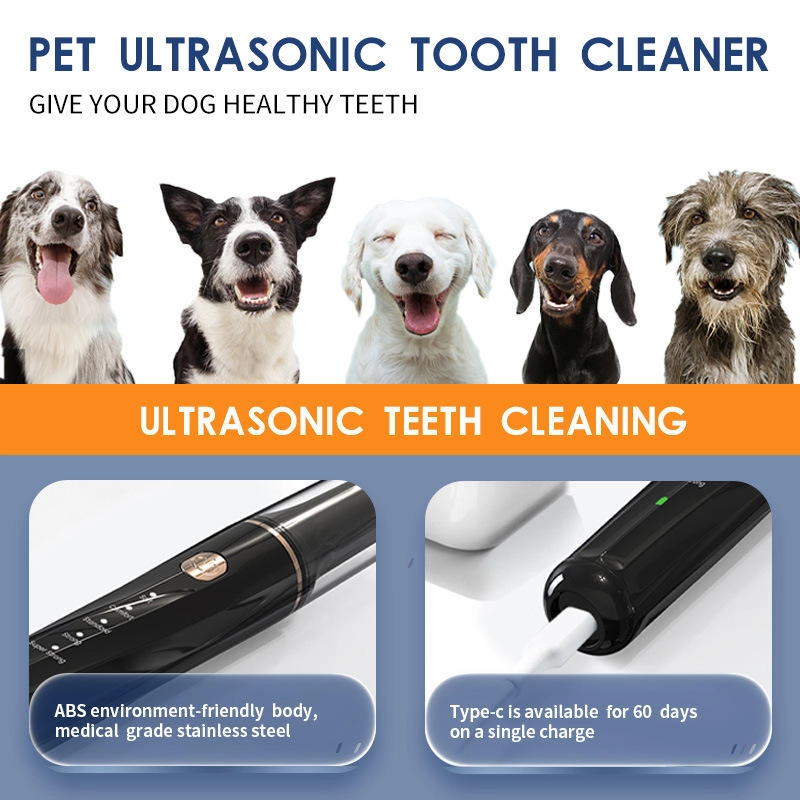 Smart Ultrasonic Pet Dental Scaler Main Picture Pawty Global