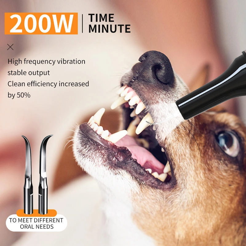 Smart Ultrasonic Pet Dental Scaler Main Picture Pawty Global