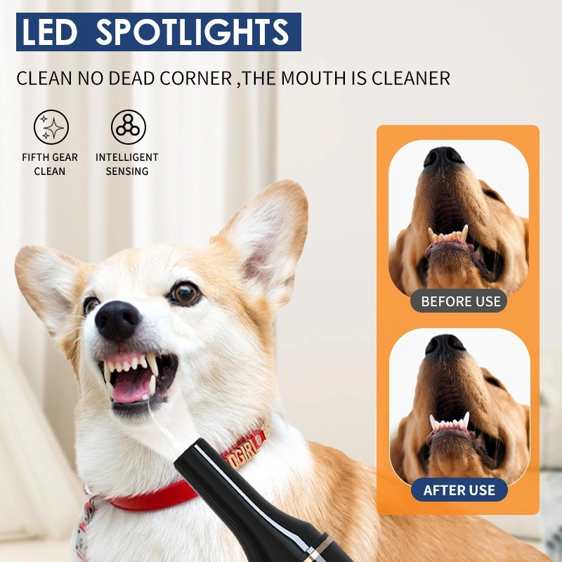 Smart Ultrasonic Pet Dental Scaler Main Picture Pawty Global
