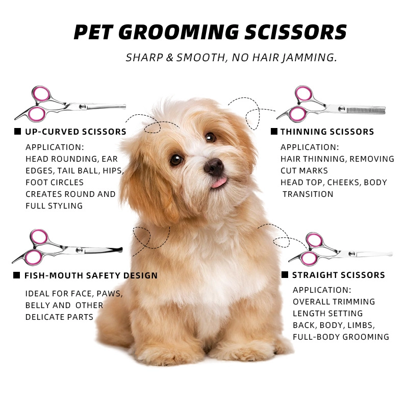 Pawty Global 6" Premium Steel Pet Grooming Scissors Wholesale - Image 9