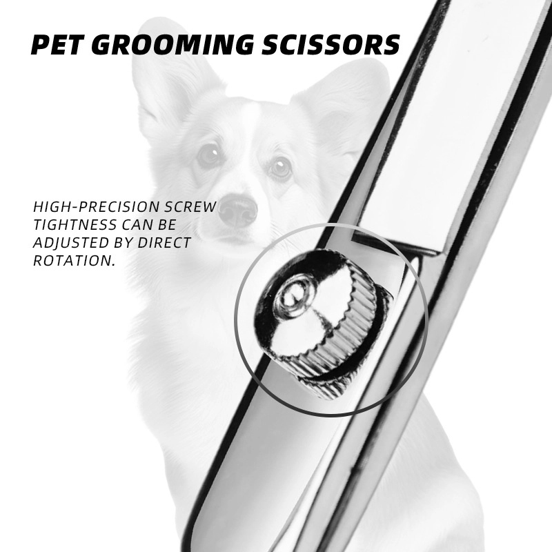 Pawty Global 6" Premium Steel Pet Grooming Scissors Wholesale